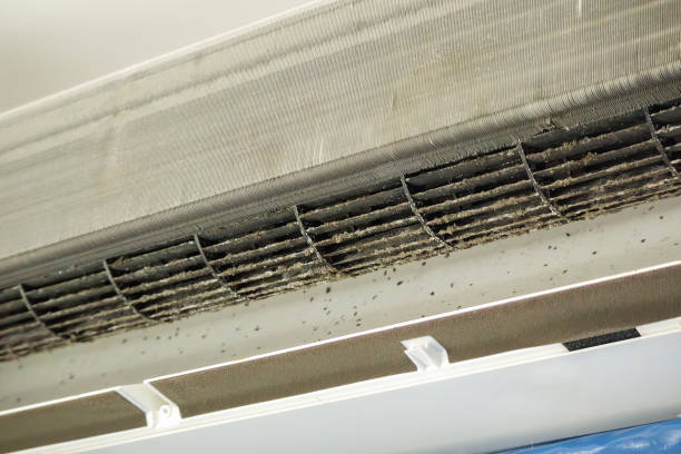 Best Air Vent Cleaning Services  in Browns Point, WA